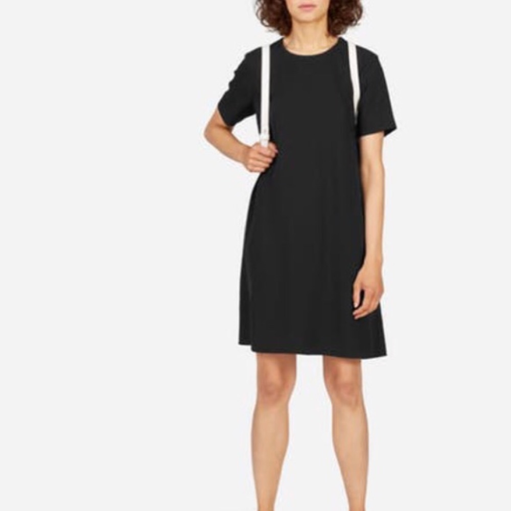 Everlane Japanese Go Weave A-line Dress